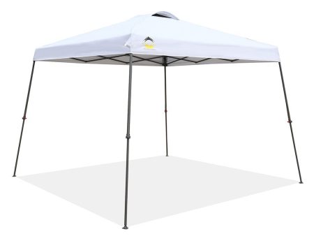 10 x 10 Canopy Discount