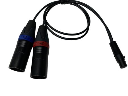 Ace-ZAXT5X3M2 - TA5F 2 channel balanced output to 2 XLR3M 18  Online