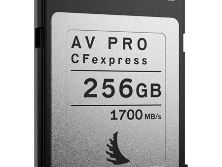 CFexpress Type B - 256GB Card Online Hot Sale